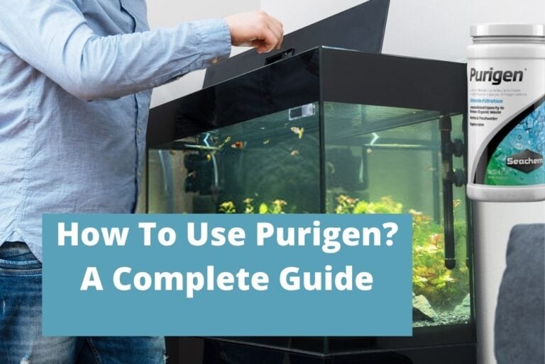 How To Use Purigen