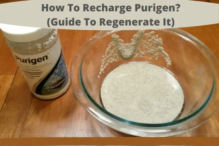 How To Recharge Purigen? (8 Steps To Regenerate It)