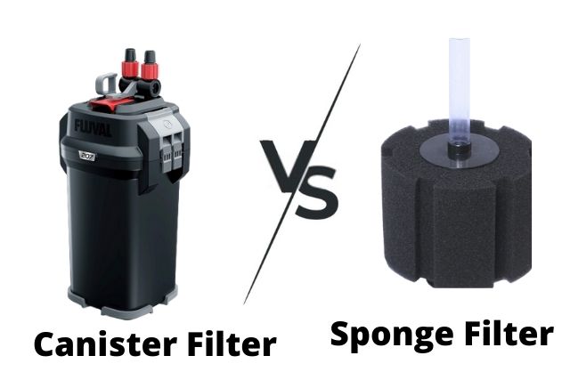 Canister filter VS Sponge filter