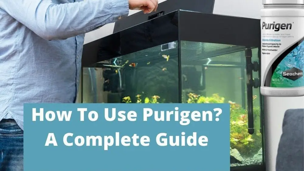 How To Use Purigen