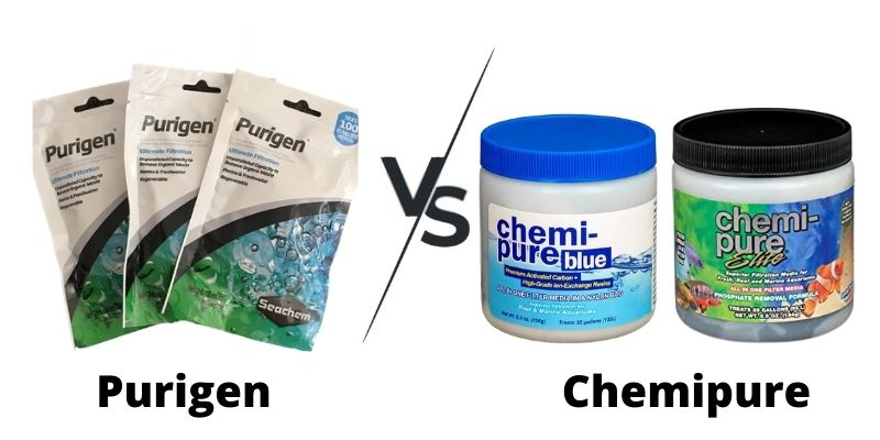 Purigen vs Chemipure