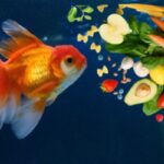 what vegetables can goldfish eat, vegetables that goldfish eat